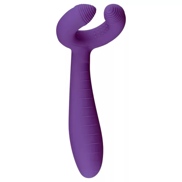 Easytoys Couple - vibromasseur pour couple rechargeable étanche - violet