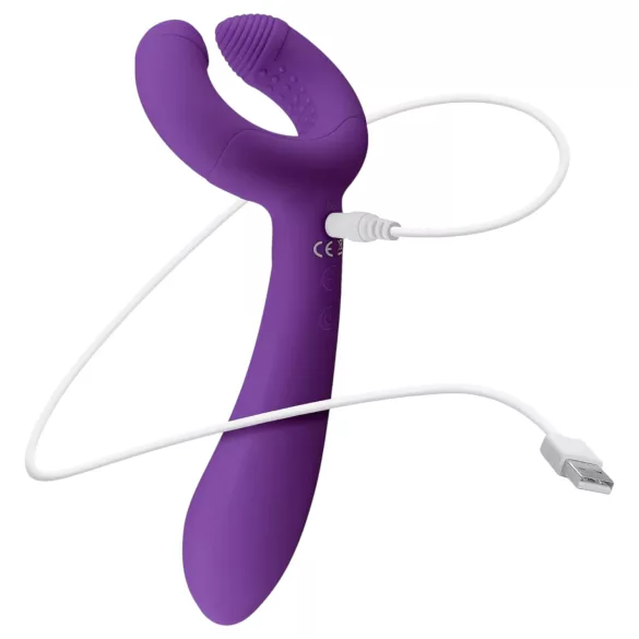 Easytoys Couple - vibromasseur pour couple rechargeable étanche - violet