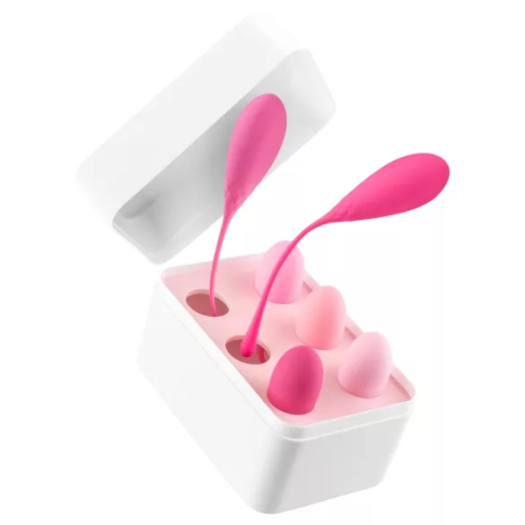Teazers - set de 6 boules de geisha - silicone rose