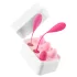 Teazers - set de 6 boules de geisha - silicone rose