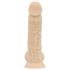 Real Fantasy Ashton - Dildo réaliste avec testicules - 20,5 cm (naturel)