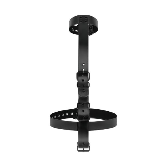 Fantasies de Chambre - Kit BDSM avec collier et menottes (noir)