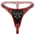 Easytoys - Slip avec triple gode (noir)