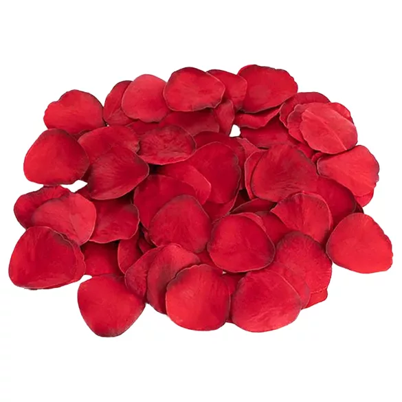Dreamtoys Amour - coffret cadeau vibromasseur en forme de cœur (rouge)