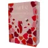 Dreamtoys Amour - ensemble de vibromasseur culotte portable (rouge)