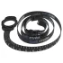 Bathmate Shower Strap - sangle de maintien pour pompe avec mesure (noir)