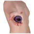 Je Joue - anneau pénien vibrant rechargeable étanche - violet
