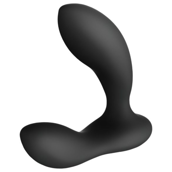 LELO Bruno - Vibromasseur prostatique double moteur (noir)