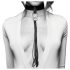 Bijoux Indiscrets - fouet et collier (noir)
