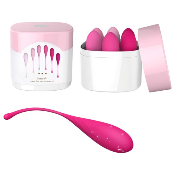 FEELZTOYS Femmefit - Ensemble boules de geisha (6 pièces)