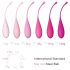 FEELZTOYS Femmefit - Ensemble boules de geisha (6 pièces)