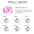 FEELZTOYS Femmefit - Ensemble boules de geisha (6 pièces)