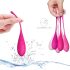 FEELZTOYS Femmefit - Ensemble boules de geisha (6 pièces)