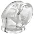Cockring OXBALLS 2 - Transparent plaisir essentiel