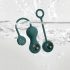 Ensemble de Boules de Geisha Intelligentes Crystal Duo Magic Motion - Vert